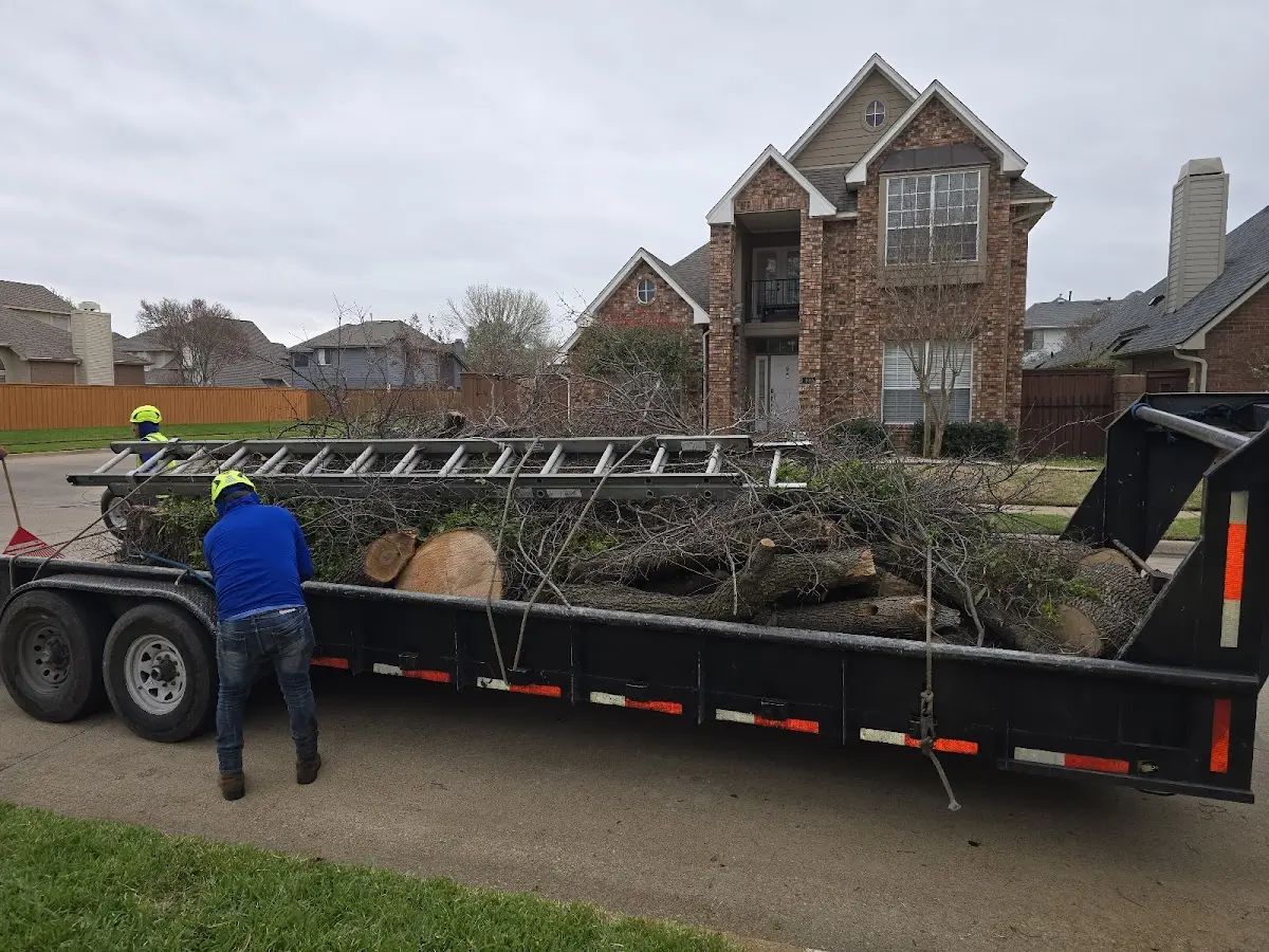 Expert Tree Removal with proper safety equipment in West Bend